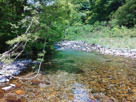 尺イワナ３本 ～九頭竜川水系～